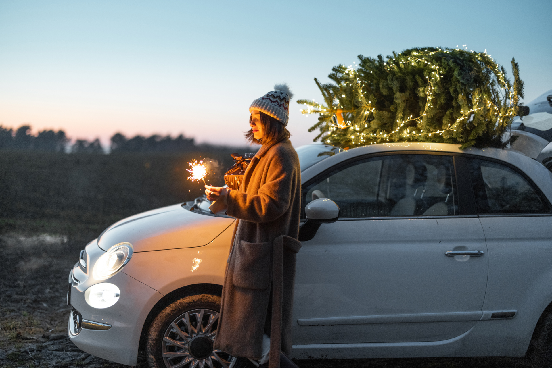Vánoční rádce: Jak ochránit auto i domov během cest